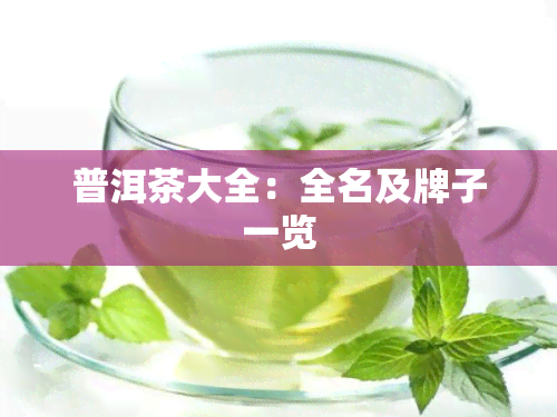 普洱茶大全：全名及牌子一览