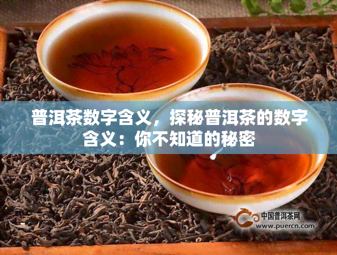 普洱茶数字含义，探秘普洱茶的数字含义：你不知道的秘密