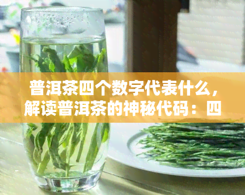 普洱茶四个数字代表什么，解读普洱茶的神秘代码：四个数字背后的含义