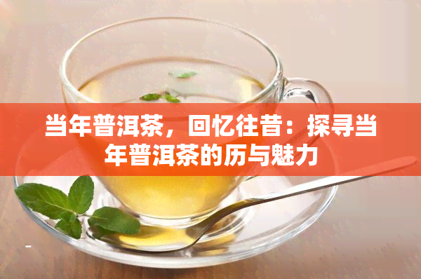 当年普洱茶，回忆往昔：探寻当年普洱茶的历与魅力