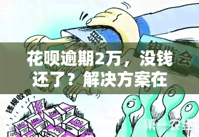 花呗逾期2万，没钱还了？解决方案在这里！