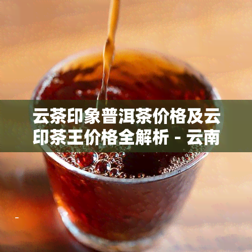 云茶印象普洱茶价格及云印茶王价格全解析 - 云南云茶印象茶业