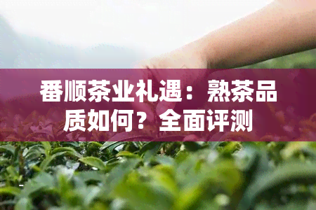 番顺茶业礼遇：熟茶品质如何？全面评测