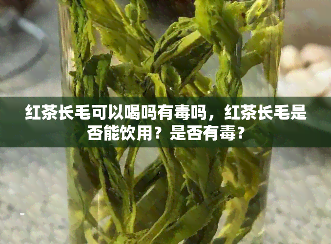 红茶长毛可以喝吗有吗，红茶长毛是否能饮用？是否有？