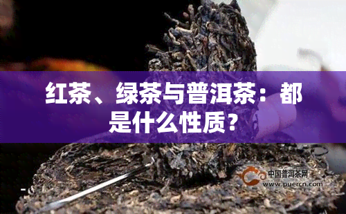 红茶、绿茶与普洱茶：都是什么性质？