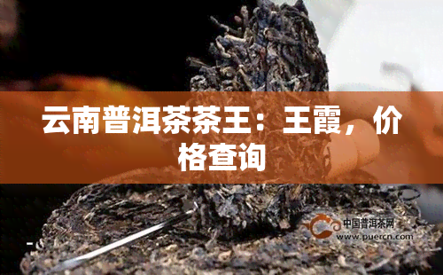 云南普洱茶茶王：王霞，价格查询