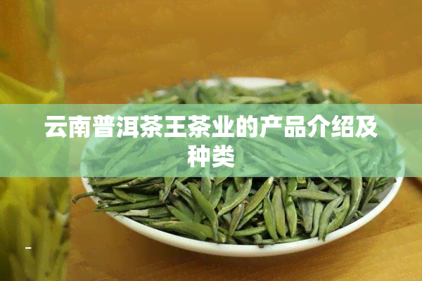 云南普洱茶王茶业的产品介绍及种类