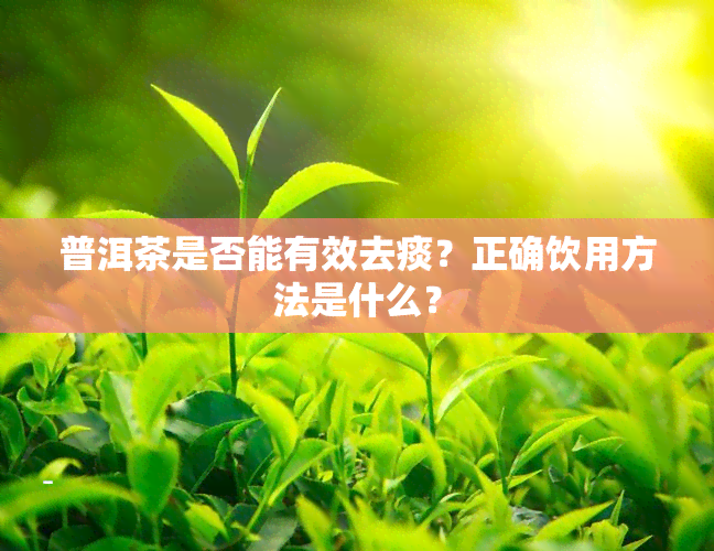 普洱茶是否能有效去痰？正确饮用方法是什么？