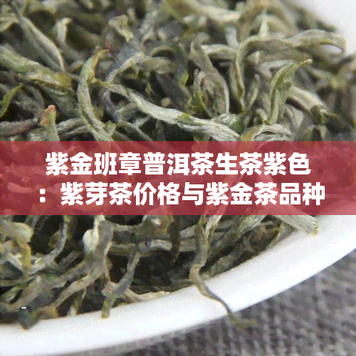 紫金班章普洱茶生茶紫色：紫芽茶价格与紫金茶品种解析