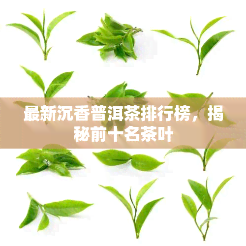 最新沉香普洱茶排行榜，揭秘前十名茶叶