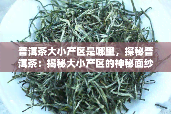 普洱茶大小产区是哪里，探秘普洱茶：揭秘大小产区的神秘面纱