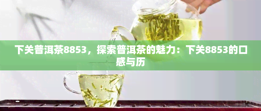 下关普洱茶8853，探索普洱茶的魅力：下关8853的口感与历