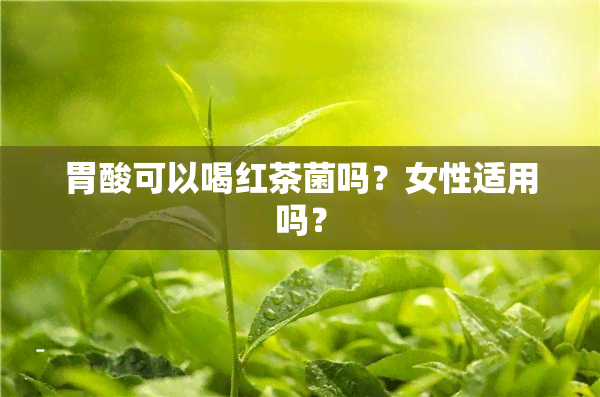 胃酸可以喝红茶菌吗？女性适用吗？