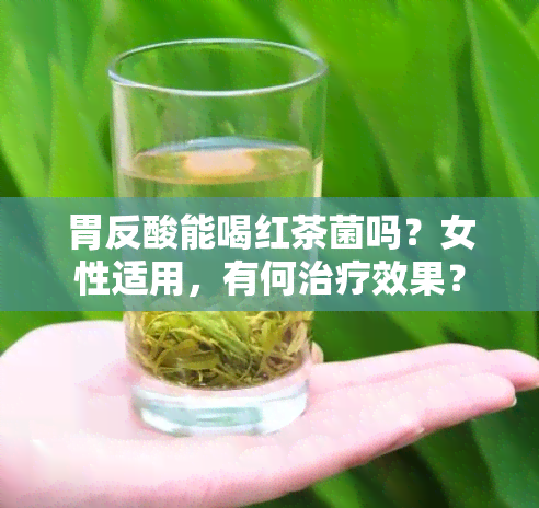 胃反酸能喝红茶菌吗？女性适用，有何治疗效果？