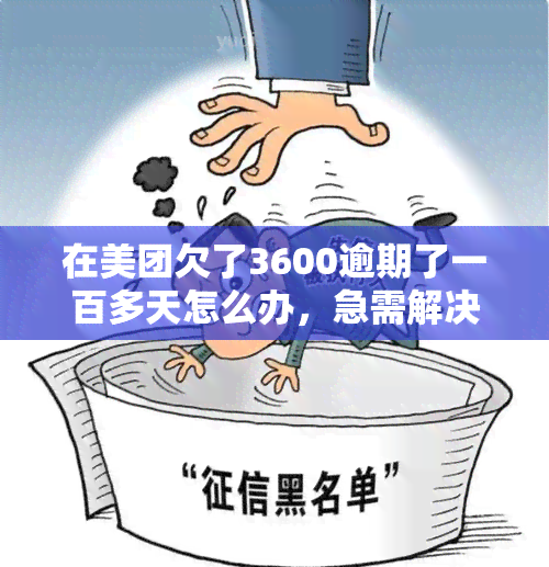 在美团欠了3600逾期了一百多天怎么办，急需解决！美团欠款3600元，逾期100多天，我该怎么办？