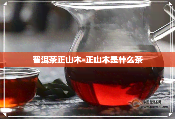 普洱茶正山木-正山木是什么茶