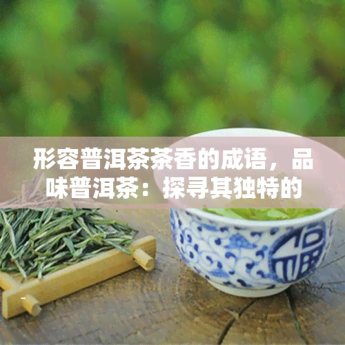 形容普洱茶茶香的成语，品味普洱茶：探寻其独特的茶香魅力