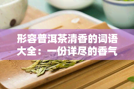 形容普洱茶清香的词语大全：一份详尽的香气词汇表