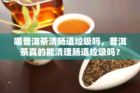 喝普洱茶清肠道垃圾吗，普洱茶真的能清理肠道垃圾吗？