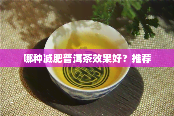 哪种减肥普洱茶效果好？推荐