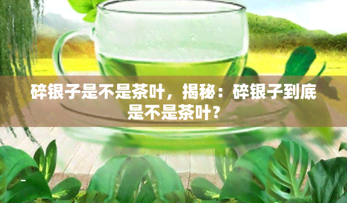 碎银子是不是茶叶，揭秘：碎银子到底是不是茶叶？