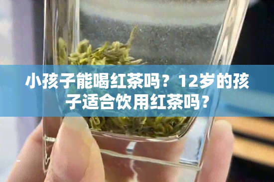 小孩子能喝红茶吗？12岁的孩子适合饮用红茶吗？