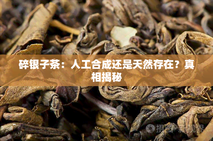 碎银子茶：人工合成还是天然存在？真相揭秘