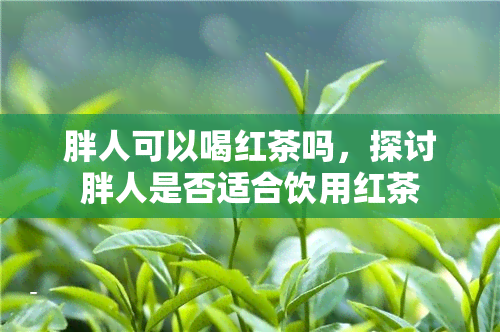 胖人可以喝红茶吗，探讨胖人是否适合饮用红茶