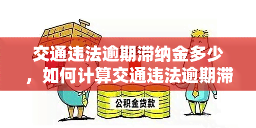 交通违法逾期滞纳金多少，如何计算交通违法逾期滞纳金？