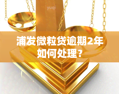 浦发微粒贷逾期2年如何处理？