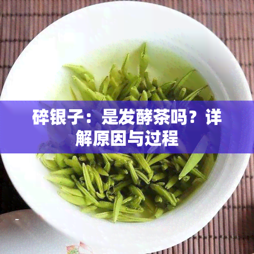 碎银子：是发酵茶吗？详解原因与过程