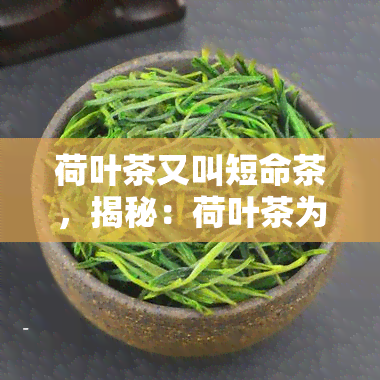 荷叶茶又叫短命茶，揭秘：荷叶茶为何被称为'短命茶'