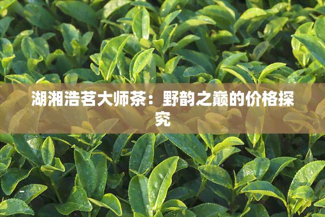 湖湘浩茗大师茶：野韵之巅的价格探究