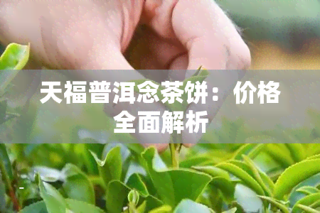 天福普洱念茶饼：价格全面解析