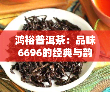 鸿裕普洱茶：品味6696的经典与韵味，探索茶饼的世界