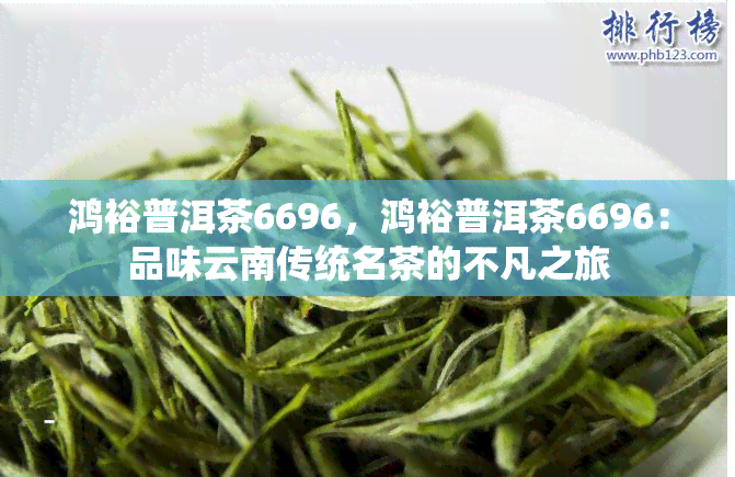 鸿裕普洱茶6696，鸿裕普洱茶6696：品味云南传统名茶的不凡之旅