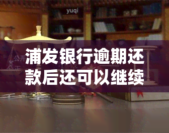 浦发银行逾期还款后还可以继续使用吗，浦发银行：逾期还款后能否继续使用账户？