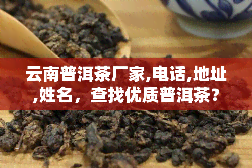 云南普洱茶厂家,电话,地址,姓名，查找优质普洱茶？了解云南普洱茶厂家、电话、地址及负责人信息！