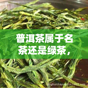 普洱茶属于名茶还是绿茶，探讨普洱茶的分类：它是名茶还是绿茶？