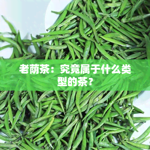 老荫茶：究竟属于什么类型的茶？