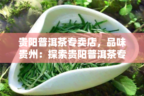 贵阳普洱茶专卖店，品味贵州：探索贵阳普洱茶专卖店，领略茶叶文化之美