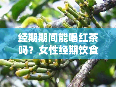 经期期间能喝红茶吗？女性经期饮食指南