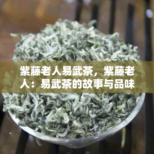 紫藤老人易武茶，紫藤老人：易武茶的故事与品味