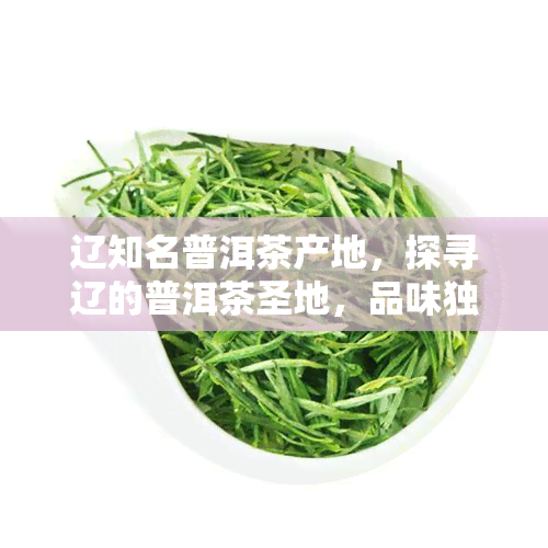 辽知名普洱茶产地，探寻辽的普洱茶圣地，品味独特的茶香韵味