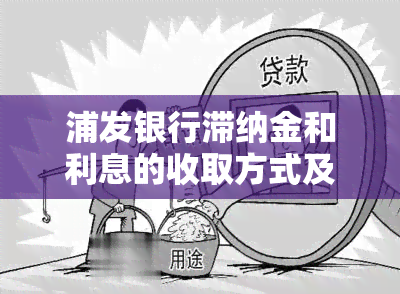 浦发银行滞纳金和利息的收取方式及合理性解析