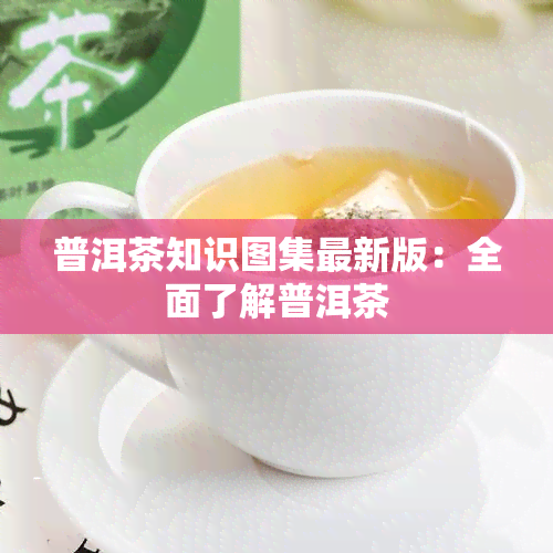 普洱茶知识图集最新版：全面了解普洱茶