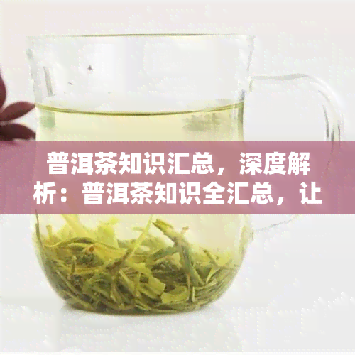 普洱茶知识汇总，深度解析：普洱茶知识全汇总，让你成为品鉴专家！