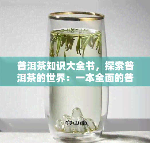 普洱茶知识大全书，探索普洱茶的世界：一本全面的普洱茶知识大全书