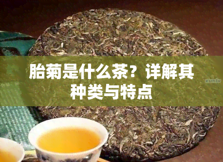 胎菊是什么茶？详解其种类与特点