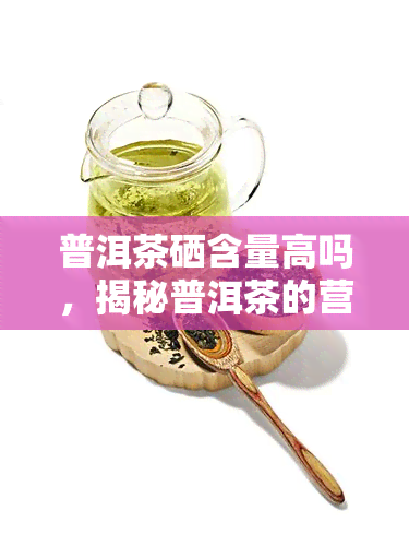 普洱茶硒含量高吗，揭秘普洱茶的营养价值：硒元素含量究竟如何？